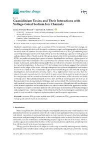 Guanidinium Toxins and Their Interactions with Voltage-Gated Sodium Ion Channels
