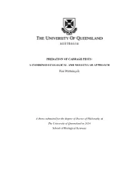 Predation of Cabbage Pests