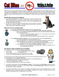 Do I Need to See a Doctor for a Cat Bite?