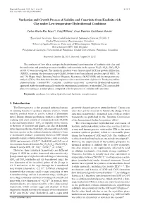 Nucleation and Growth Process of Sodalite and Cancrinite from Kaolinite-Rich Clay Under Low-Temperature Hydrothermal Conditions