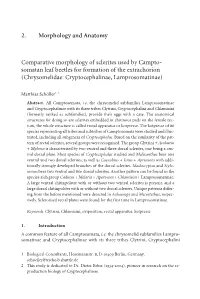 2. Morphology and Anatomy Comparative Morphology Of