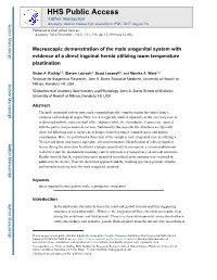 Macroscopic Demonstration of the Male Urogenital System with Evidence of a Direct Inguinal Hernia Utilizing Room Temperature Plastination