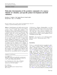 Molecular Determination of the Predator Community of a Cassava Whiteﬂy in Colombia: Pest-Speciﬁc Primer Development and ﬁeld Validation