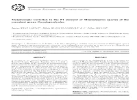 Morphologic Variation in the P1 Element of Mississippian Species of the Conodont Genus Pseudognathodus
