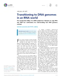 Transitioning to DNA Genomes in an RNA World