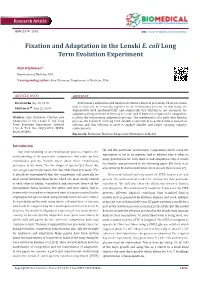Fixation and Adaptation in the Lenski E. Coli Long Term Evolution Experiment