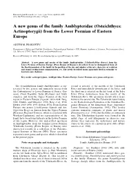 From the Lower Permian of Eastern Europe