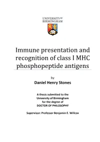 Immune Presentation and Recognition of Class I MHC Phosphopeptide Antigens
