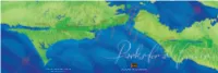 2012 Annual Report (PDF)