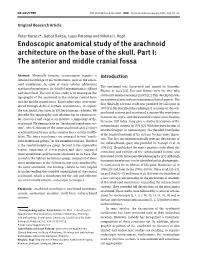 Endoscopic Anatomical Study of the Arachnoid Architecture on the Base of the Skull