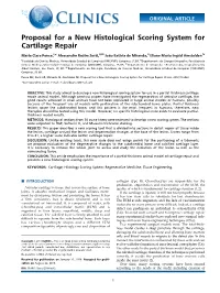 Proposal for a New Histological Scoring System for Cartilage Repair