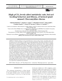 Q010p267.Pdf