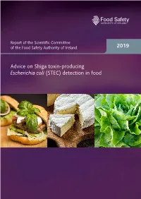 STEC) Detection in Food Shiga Toxin-Producing Escherichia Coli (STEC) Are Synonymous with Verocytotoxigenic Escherichia Coli (VTEC)