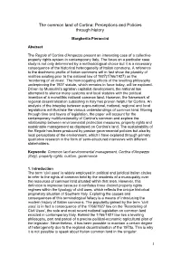 The Common Land of Cortina: Perceptions and Policies Through History