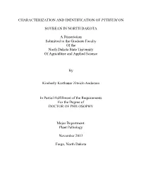 Characterization and Identification of Pythium On