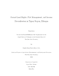 Formal Land Rights, Plot Management, and Income Diversification In