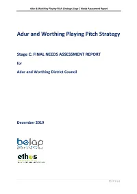 Playing Pitch Strategy Stage C Needs Assessment Report