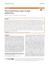 The Evolutionary Origin of Digit Patterning Thomas A