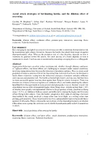 Aerial Attack Strategies of Bat-Hunting Hawks, and the Dilution Effect of Swarming