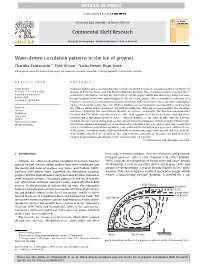 Wave-Driven Circulation Patterns in the Lee of Groynes