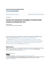 Genomic and Transcriptomic Investigation of Endemic Burkitt Lymphoma and Epstein Barr Virus