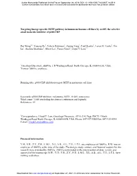 Targeting Lineage-Specific MITF Pathway in Human Melanoma Cell Lines by A-485, the Selective Small Molecule Inhibitor of P300/CBP