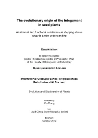 The Evolutionary Origin of the Integument in Seed Plants