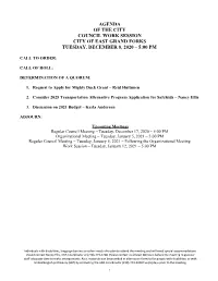 JAMES METZEN MIGHTY DUCKS Ice Arena Grant Program Information and Guidelines