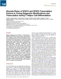 Discrete Roles of STAT4 and STAT6 Transcription Factors in Tuning Epigenetic Modiﬁcations and Transcription During T Helper Cell Differentiation
