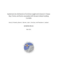 Spatial and Size Distribution of Red Drum Caught and Released in Tampa Bay, Florida, and Factors Associated with the Post-Release Hooking Mortality