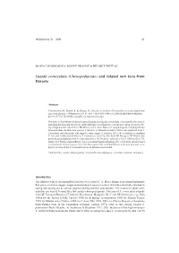 Suaeda Corniculata (Chenopodiaceae) and Related New Taxa from Eurasia