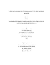 1 Possible Drivers in Endophyte Diversity and Transmission in The