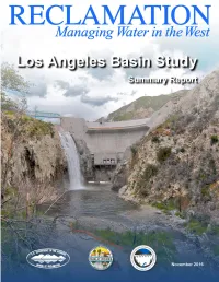 Los Angeles Basin Study Summary Report