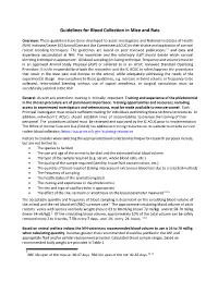 Guidelines for Blood Collection in Mice and Rats