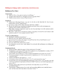 Buffelgrass Fact Sheet