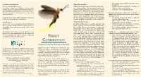 Firefly Conservation and Manage- Municate with Pheromones), and Glow-Worms (Whose • Use Paths to Avoid Trampling Fireflies