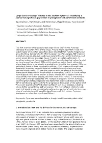 Large-Scale Rock Slope Failures in the Eastern Pyrenees: Identifying a Sparse but Significant Population in Paraglacial and Parafluvial Contexts