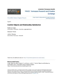 Comfort Objects and Relationship Satisfaction
