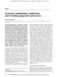 Genomic Imprinting: Employing and Avoiding Epigenetic Processes