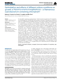 Optimization and Effects of Different Culture Conditions on Growth of Halomicronema Hongdechloris – a ﬁlamentous Cyanobacterium Containing Chlorophyll F