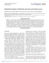 Echinoderm Ichnology: Bioturbation, Bioerosion and Related Processes