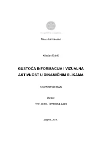 Gustoća Informacija I Vizualna Aktivnost U Dinamičnim Slikama