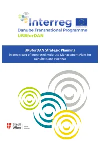 3.4. Strategic Part of Immps for UPF Vienna.Pdf