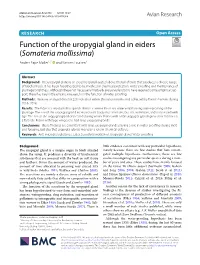 Function of the Uropygial Gland in Eiders (Somateria Mollissima) Anders Pape Møller1,2* and Karsten Laursen3
