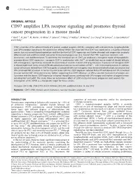 CD97 Amplifies LPA Receptor Signaling and Promotes Thyroid