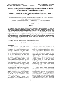 Effect of the Invasive Phanerophytes and Associated Aphids on the Ant (Hymenoptera, Formicidae) Assemblages