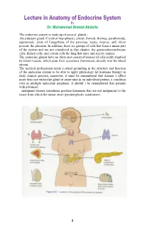 Lecture in Anatomy of Endocrine System by Dr