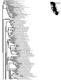 R Graphics Output