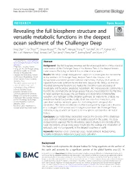 Revealing the Full Biosphere Structure and Versatile Metabolic Functions In