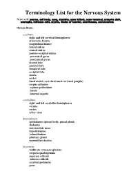 Terminology List for the Nervous System